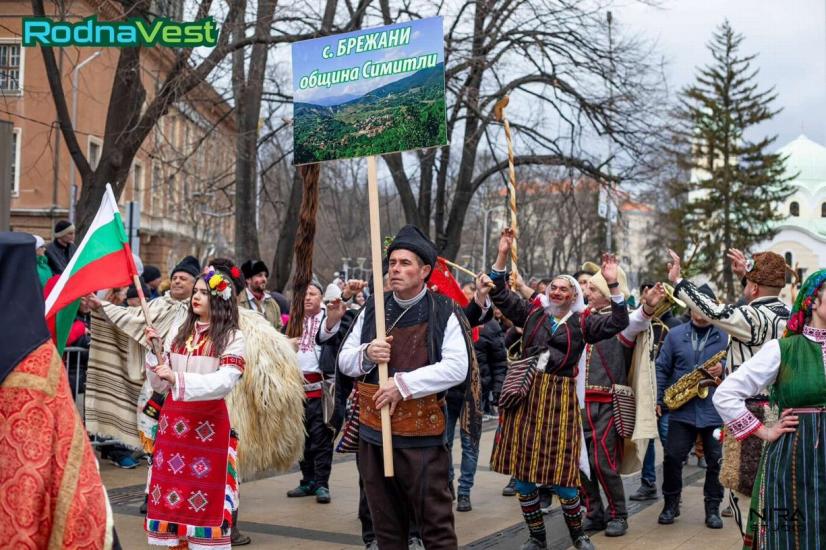 Сурва, село Брежани, Сурва в Перник 2024, 