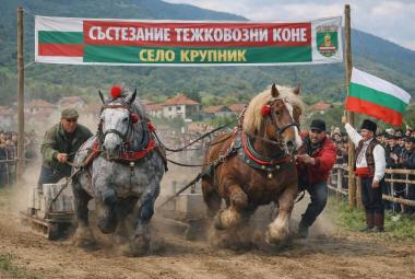 Община Симитли (121), Симитли Инфо (3418), тежковозни коне (2804), отмяна на състезанието (3759), конзаповед № РД11-627/16.03.2026 г. на изпълнителния директор на Българската агенция по безопасност на храните (3760), коне (792), местност Беглико (2739)